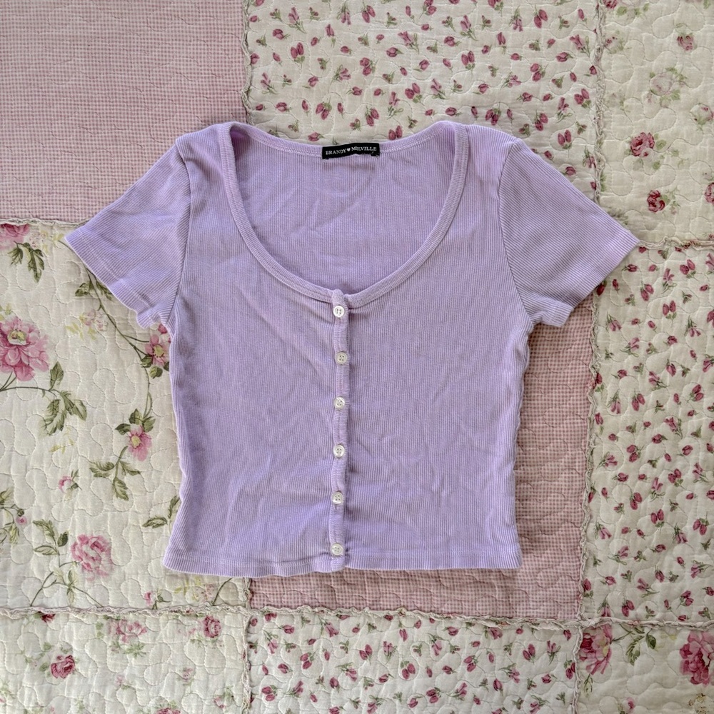 Brandy Melville/John Galt Purple Zelly Crop Top